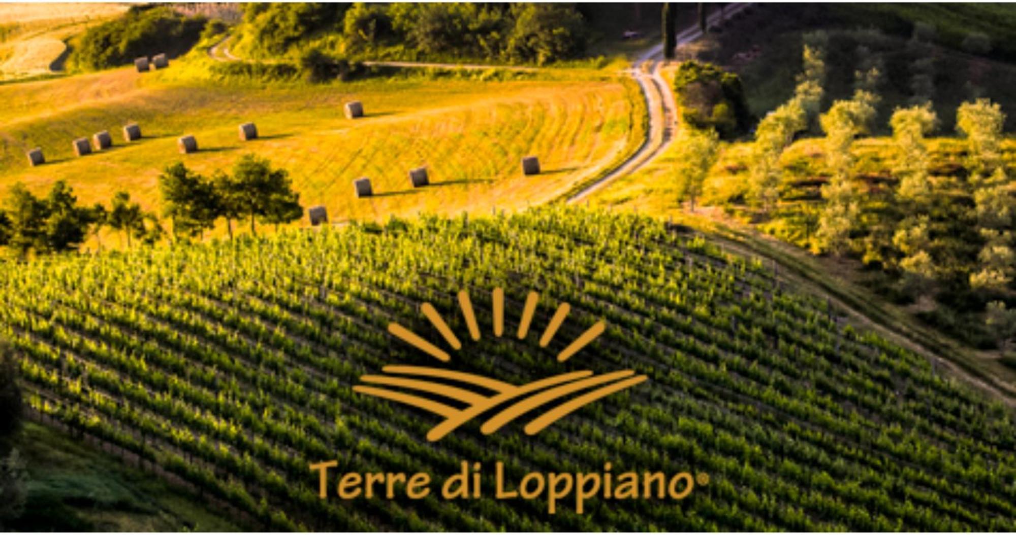Agriturismo Fattoria Di Loppiano Regina Mundi Villa Vivajo Exteriör bild